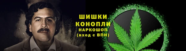 круглые Белокуриха