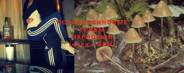круглые Белокуриха