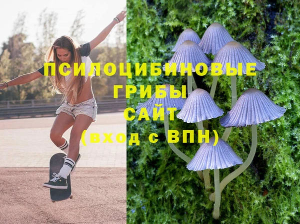 круглые Белокуриха